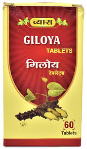 Vyas Giloya 60 Tablet