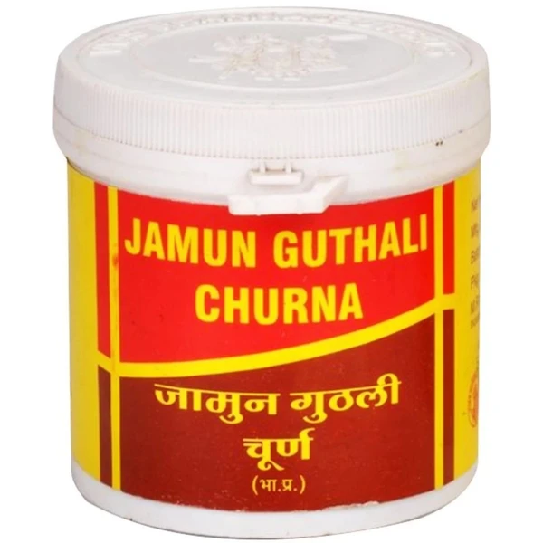 Vyas Jamun Guthali Churna  100g ( pack of 4 )