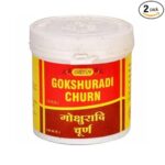 Vyas Gokshuradi Churna (100g) (Pack of 2)