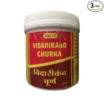 Vyas Vidarikand Churna (100g) (Pack of 3)