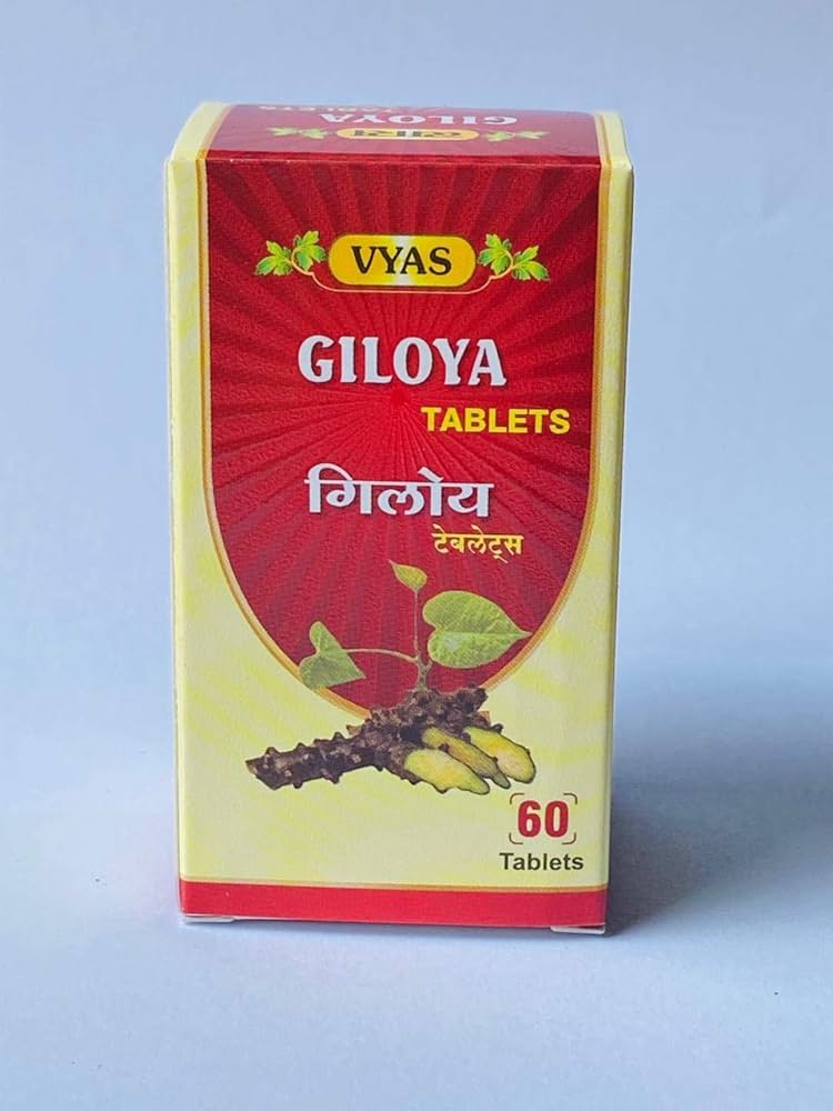 Vyas Giloya 60 Tablet